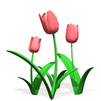 Spring Flowers - 32 ct matchbox