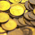 International coin collecting