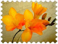 Flowers/Plants/Fruits themed used stamps swap (Int