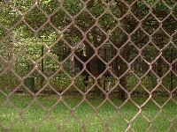 your trip to the zoo