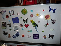 Fridge Magnets (International)