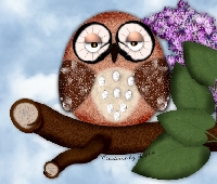 HOO HOO wants to do another OWL swap.