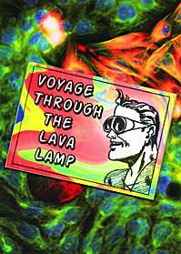 Voyage Into the Digital Unknown