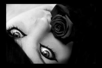 Black & White Homemade Postcards
