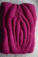 Pussy Pillow - for Novice Seamstress'!