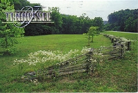 Postcards, pretty please!#5