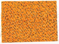 HPC2: Something Yellow