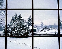 Winter Means To Me CD