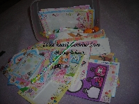 Loose Kawaii Container Swap - International and US