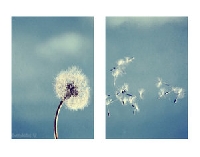 ATC Wishlist ★