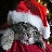  miaw miaw cat  gift swap 