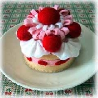 Felt Food