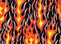 With One Palette-Fan the Flames
