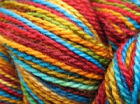 Yarn Junkies 12 - PAL'S CHOICE