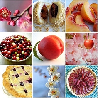 Stone Fruit Love