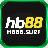 hb88surf1