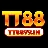 tt8899in