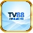 tv88yachts
