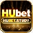Hubetstudy