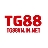 tg88vninnet