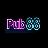 pub88tech