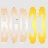 bgd33procom