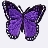PurpleButterfly