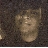 msjoana75